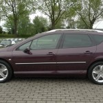 Peugeot 407 (2)