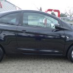 Ford Ka Bluetooth Wijchen Nijmegen (18)