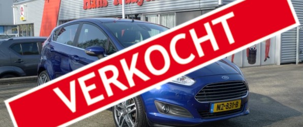 Ford Fiesta Lichtblauw Wijchen Nijmegen (11)